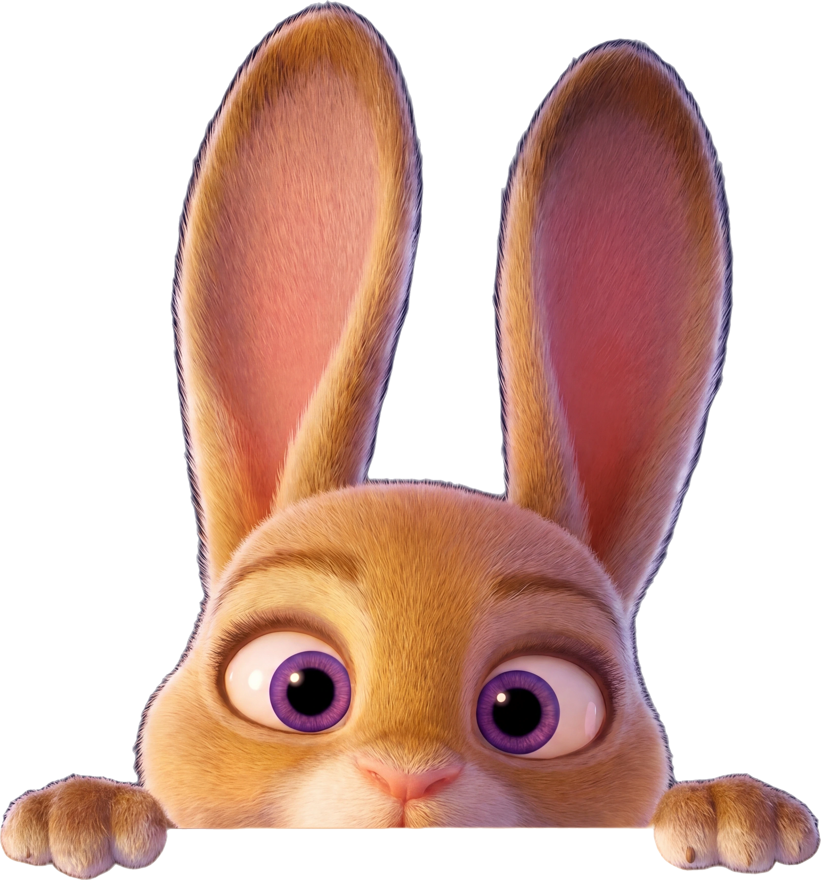 Bunny Character
